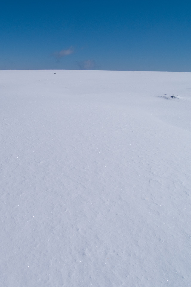 何もなし、あるのは雪原と青空　雪景色（美ヶ原）　スマートフォン壁紙