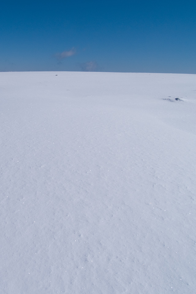 何もなし、あるのは雪原と青空　雪景色（美ヶ原）　スマートフォン壁紙