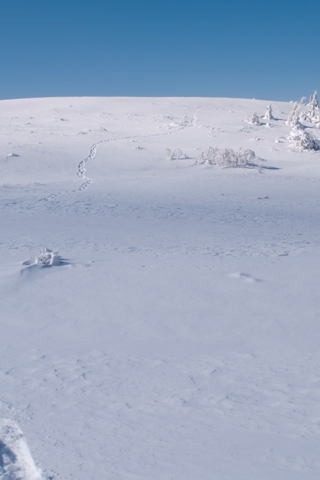 雪原に１本の足跡　雪景色（美ヶ原）　スマートフォン壁紙