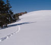 新雪の雪原に１本の足跡　雪景色（美ヶ原）のスマートフォン壁紙