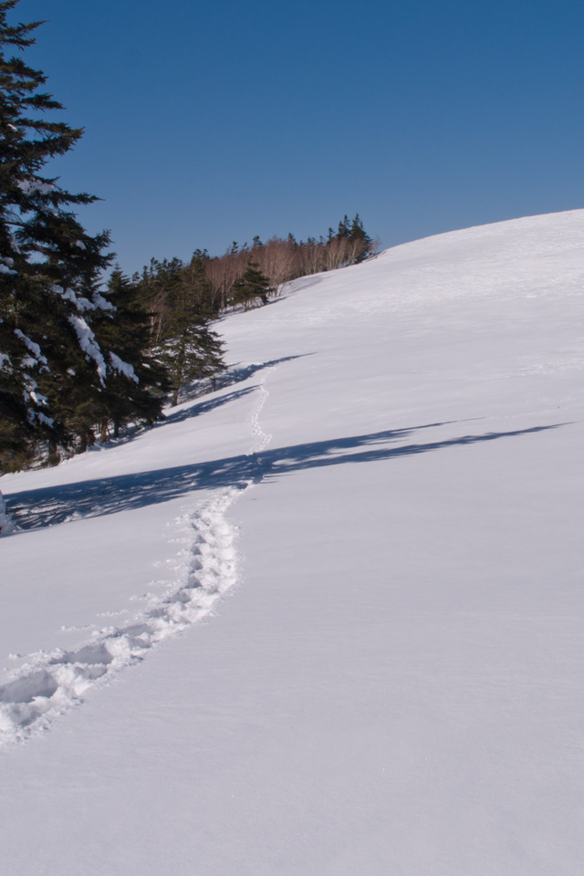 新雪の雪原に１本の足跡　雪景色（美ヶ原）　スマートフォン壁紙