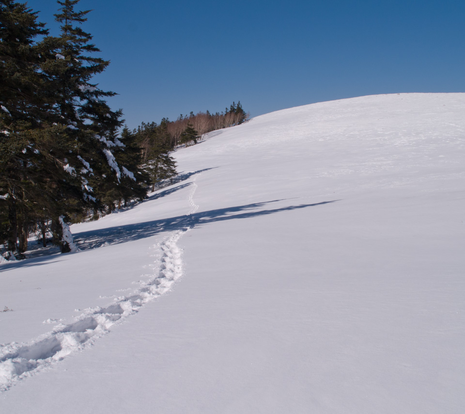 新雪の雪原に１本の足跡　雪景色（美ヶ原）　スマートフォン壁紙