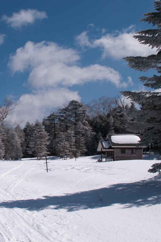 冬のメルヘン街道　雪景色（北八ヶ岳）　スマートフォン壁紙