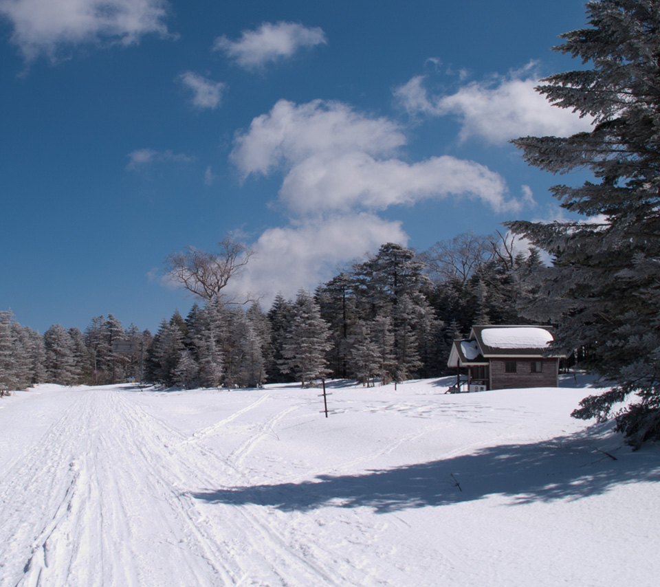 冬のメルヘン街道　雪景色（北八ヶ岳）　スマートフォン壁紙