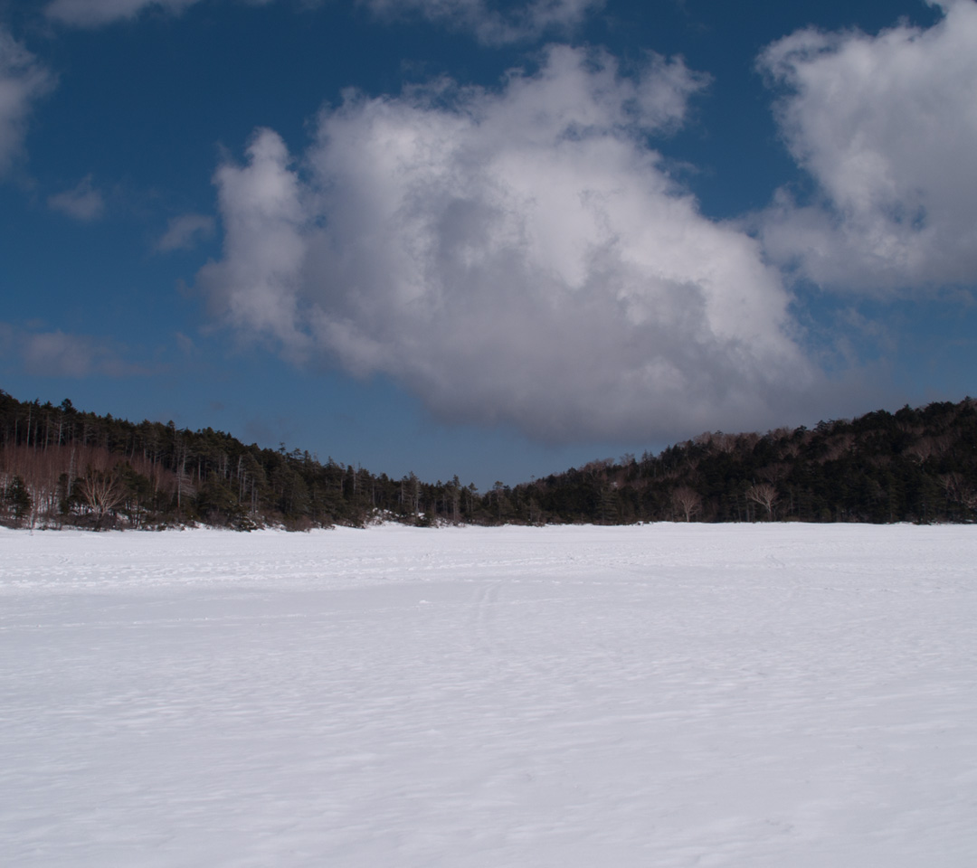 雪原の白駒池　雪景色（北八ヶ岳）　スマートフォン壁紙