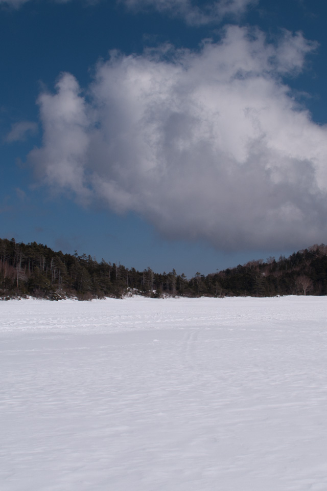 雪原の白駒池　雪景色（北八ヶ岳）　スマートフォン壁紙