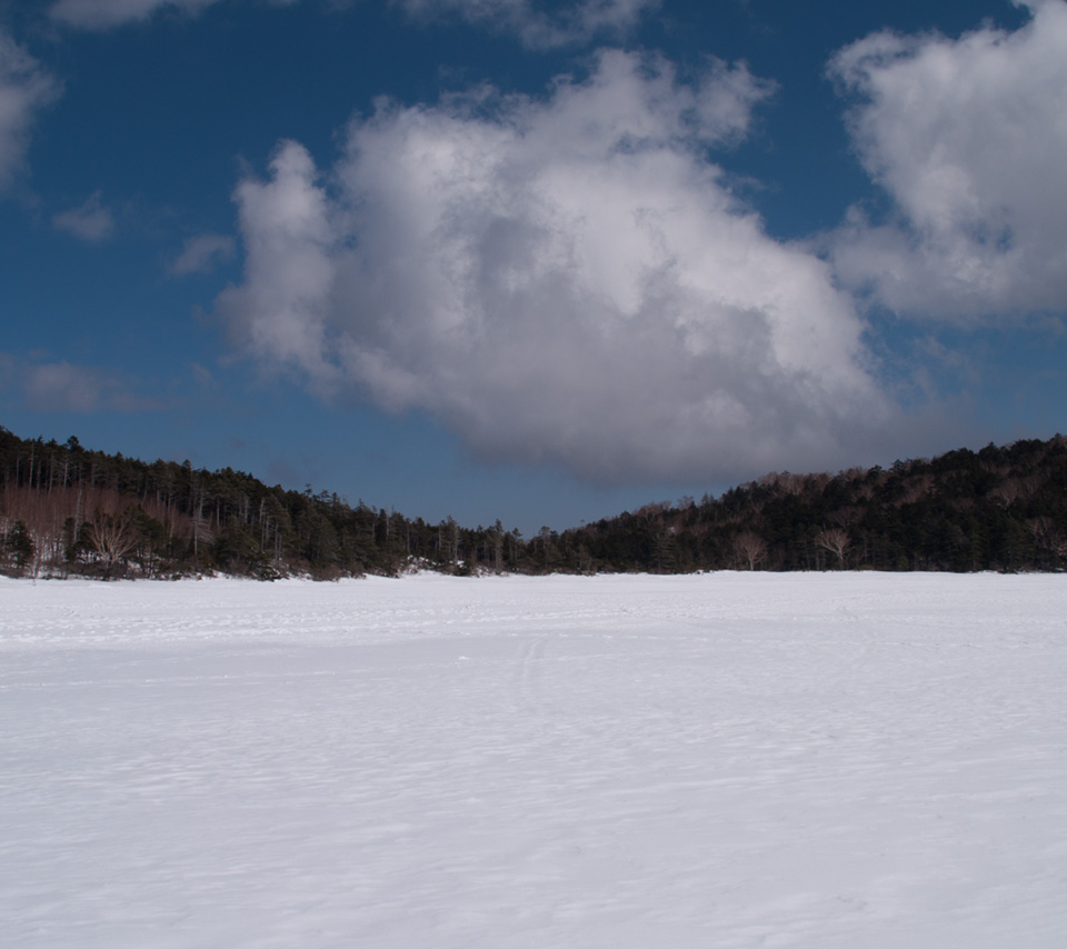 雪原の白駒池　雪景色（北八ヶ岳）　スマートフォン壁紙