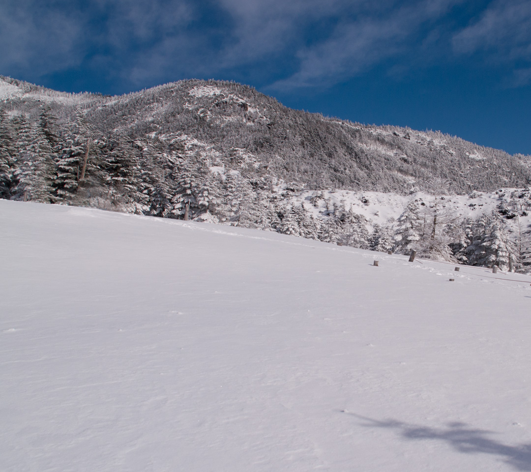 北横岳山腹の坪庭付近　雪景色　スマートフォン壁紙