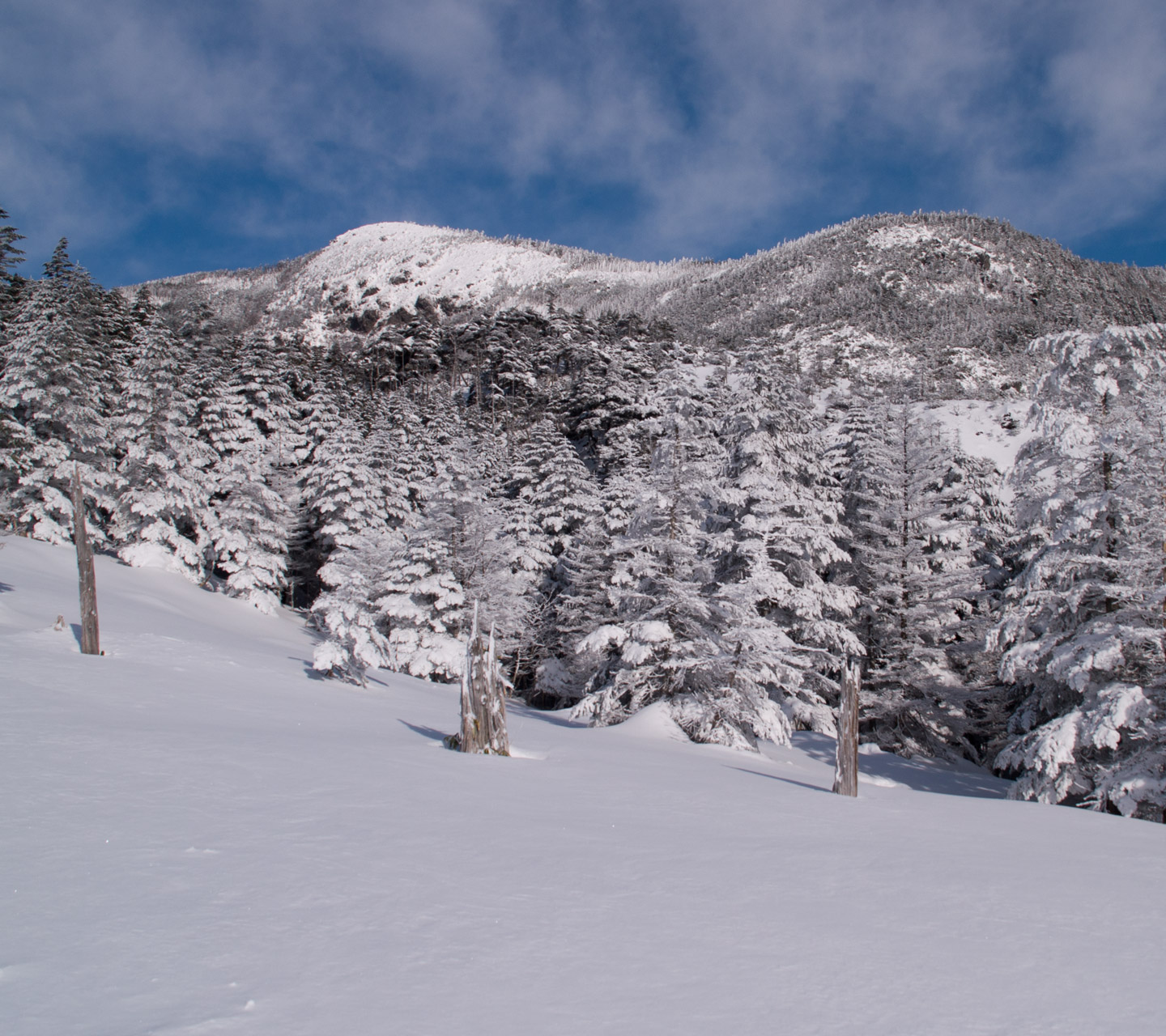 北横岳の景色　雪景色（北八ヶ岳）　スマートフォン壁紙