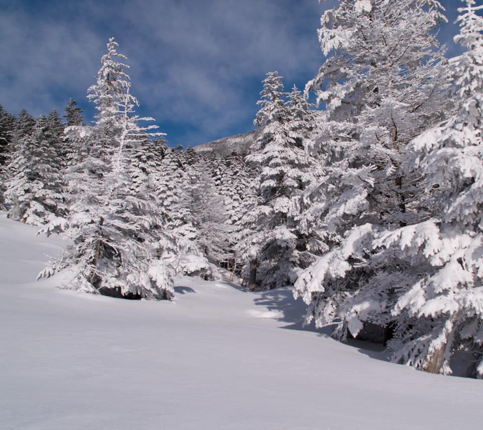北横岳山腹の坪庭付近　雪景色　スマートフォン壁紙