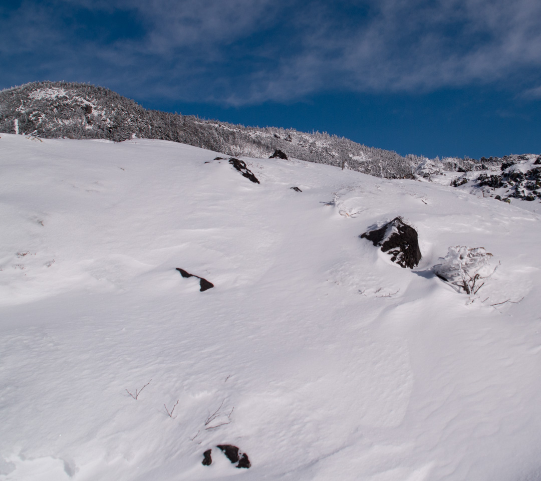 雪に覆われた坪庭　雪景色（北八ヶ岳）　スマートフォン壁紙