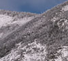 北横岳中腹の景色　雪景色（北八ヶ岳）のスマフォ壁紙