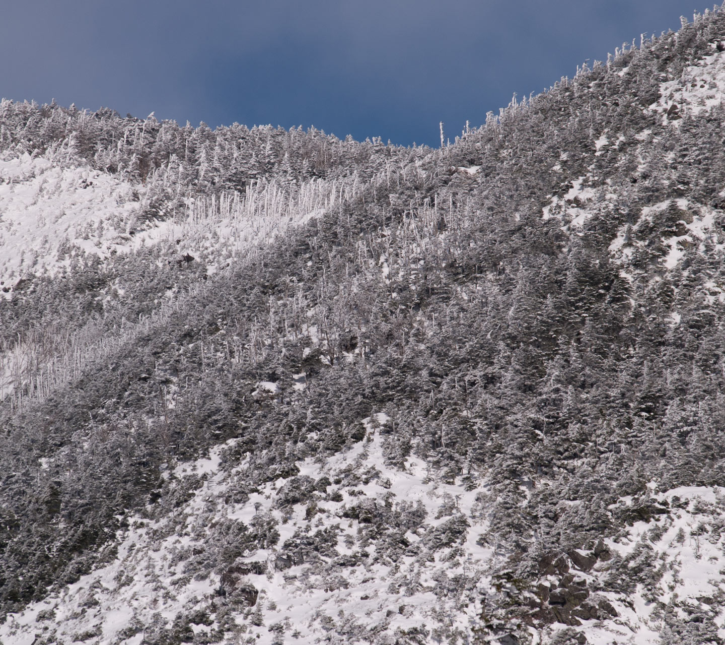北横岳中腹の景色　雪景色（北八ヶ岳）　スマートフォン壁紙