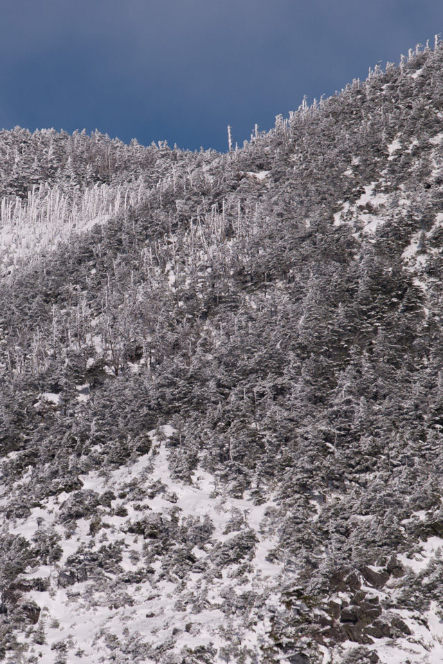 北横岳中腹の景色　雪景色（北八ヶ岳）　スマートフォン壁紙