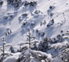 北横岳中腹からの景色　雪景色（北八ヶ岳）のスマホ待ちうけ