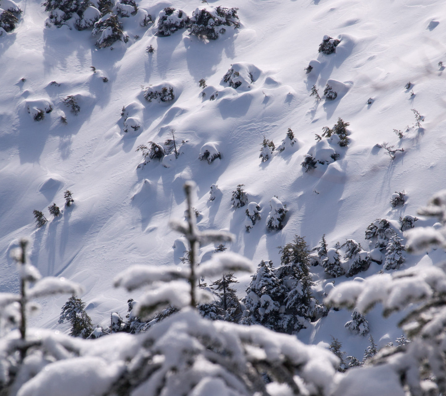 北横岳中腹からの景色　雪景色（北八ヶ岳）　スマートフォン壁紙