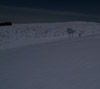 月明かりの雪原　月夜の景色のスマートフォン待ち受け