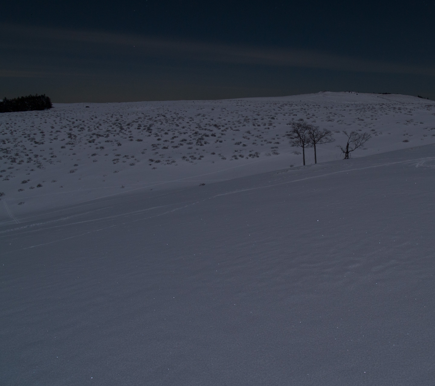 月明かりの雪原　月夜の景色　スマートフォン壁紙