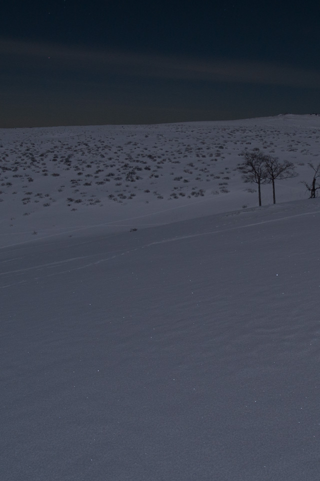 月明かりの雪原　月夜の景色　スマートフォン壁紙