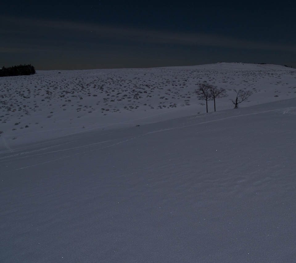 月明かりの雪原　月夜の景色　スマートフォン壁紙