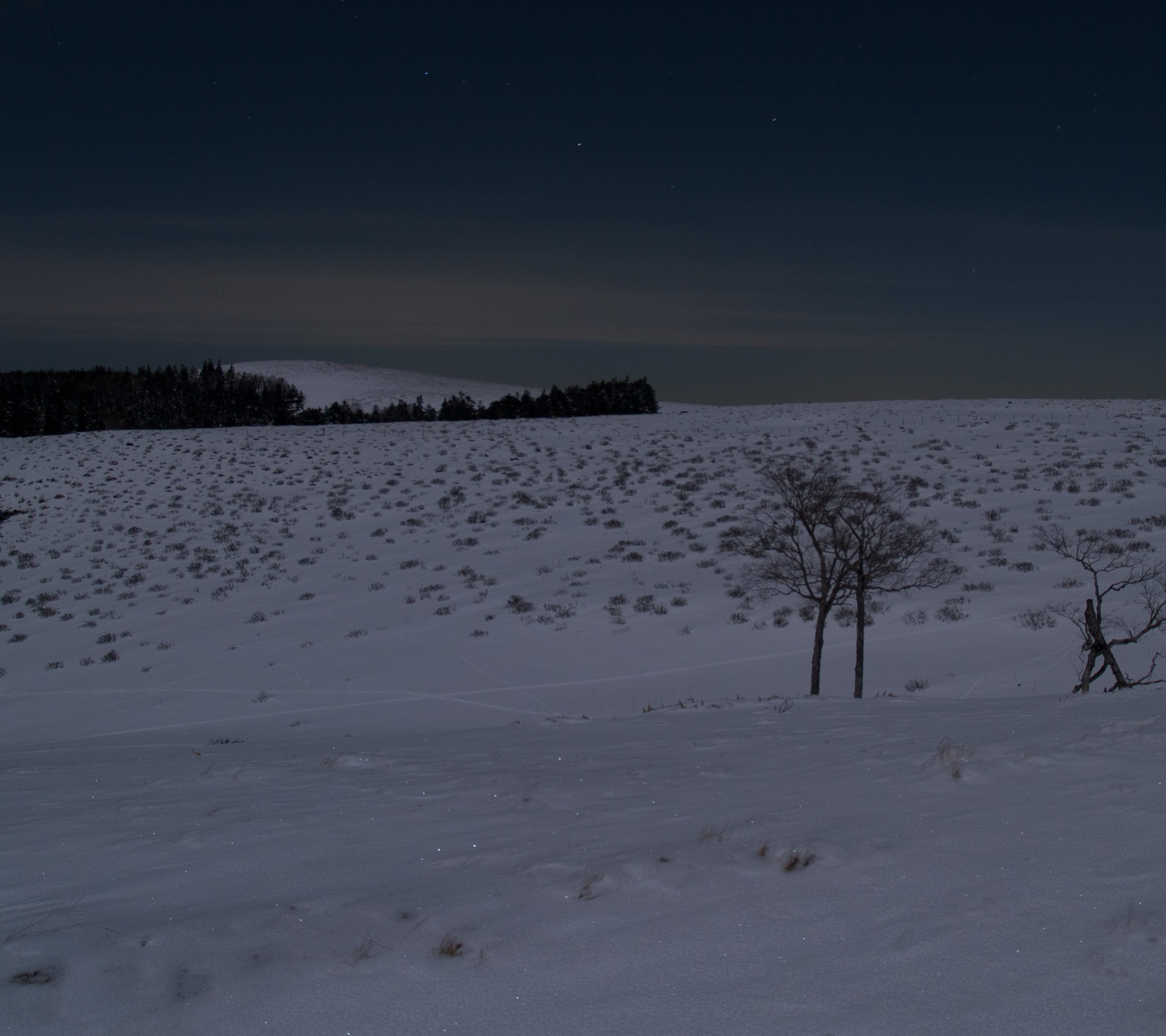 幻想的な月夜の雪原　月夜の景色　スマートフォン壁紙
