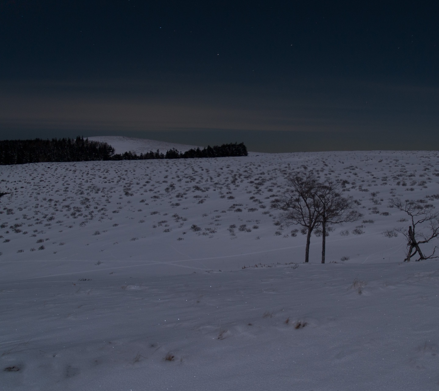 幻想的な月夜の雪原 スマートフォン無料壁紙 1440 1280 Android向け