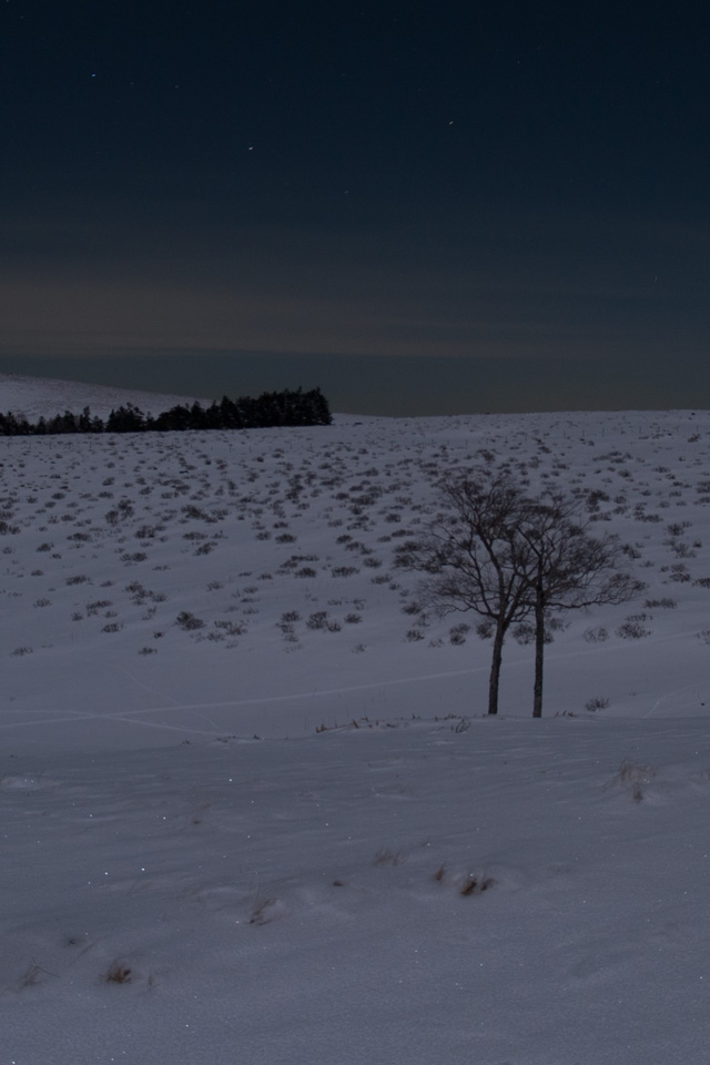 幻想的な月夜の雪原　月夜の景色　スマートフォン壁紙