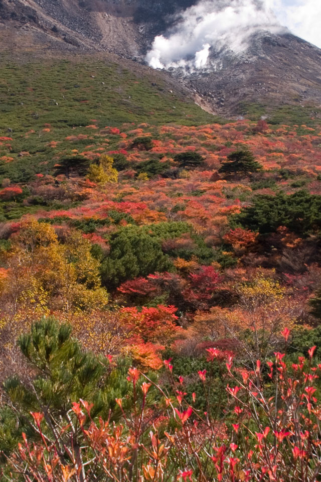 栃木県　那須岳（茶臼岳）　紅葉　スマートフォン壁紙