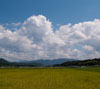 夏の雲　田園と入道雲　スマートフォン待ち受け