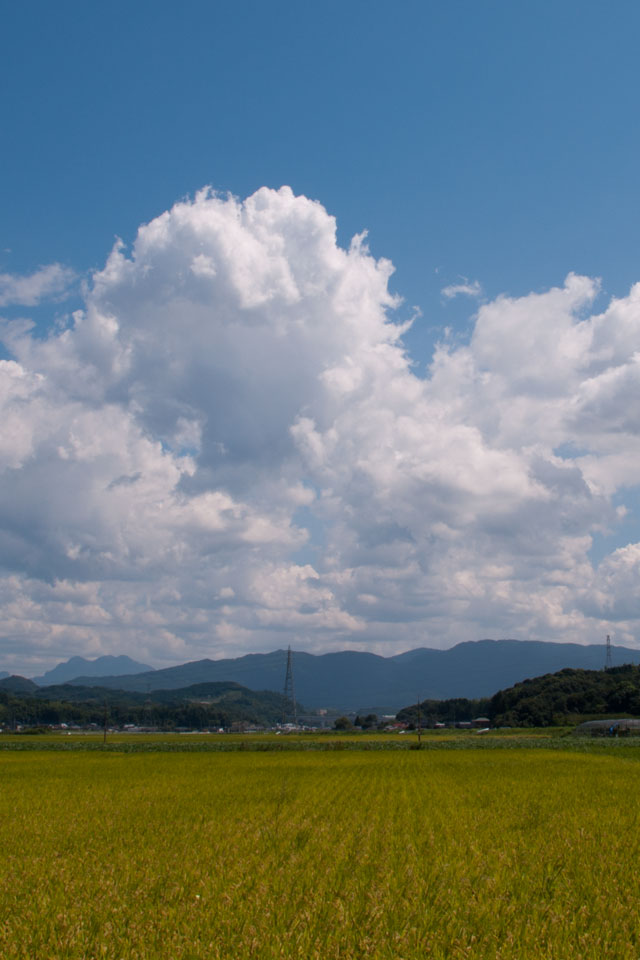 田園風景と入道雲 スマートフォン無料壁紙 640 960 Iphone向け