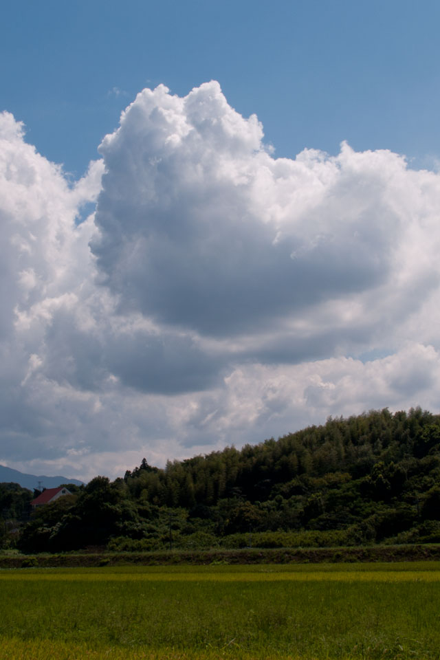 夏の景色　夏の雲　スマートフォン壁紙