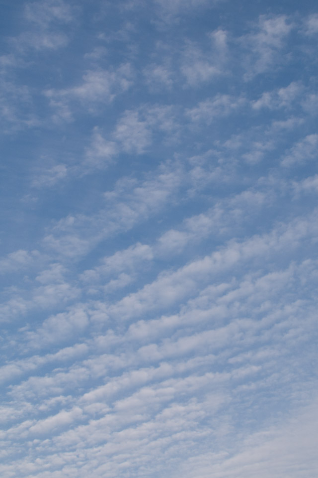 うろこ雲　秋の雲　スマートフォン壁紙