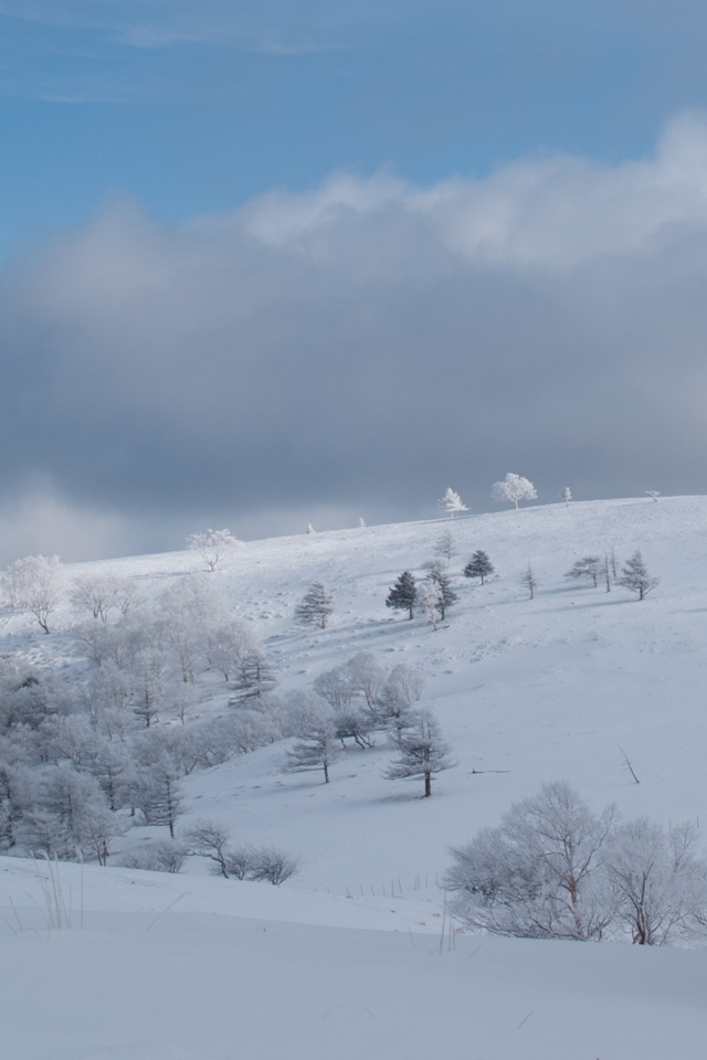 焼山の冬景色　雪景色（美ヶ原）　スマートフォン壁紙