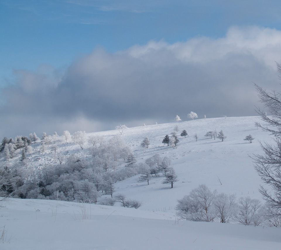 焼山の冬景色　雪景色（美ヶ原）　スマートフォン壁紙