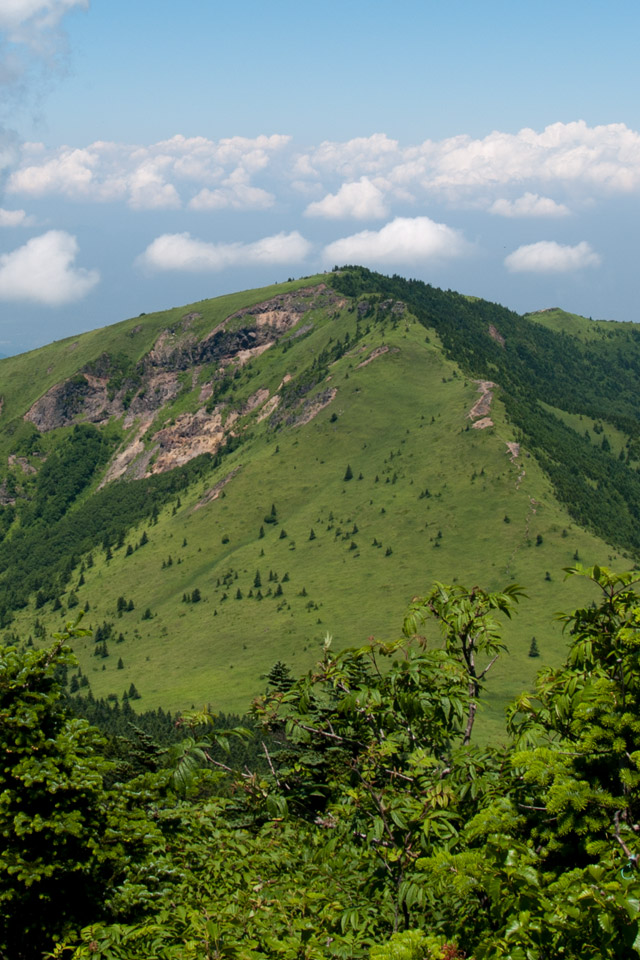 根子岳の山容　山の景色（長野県）　スマートフォン壁紙