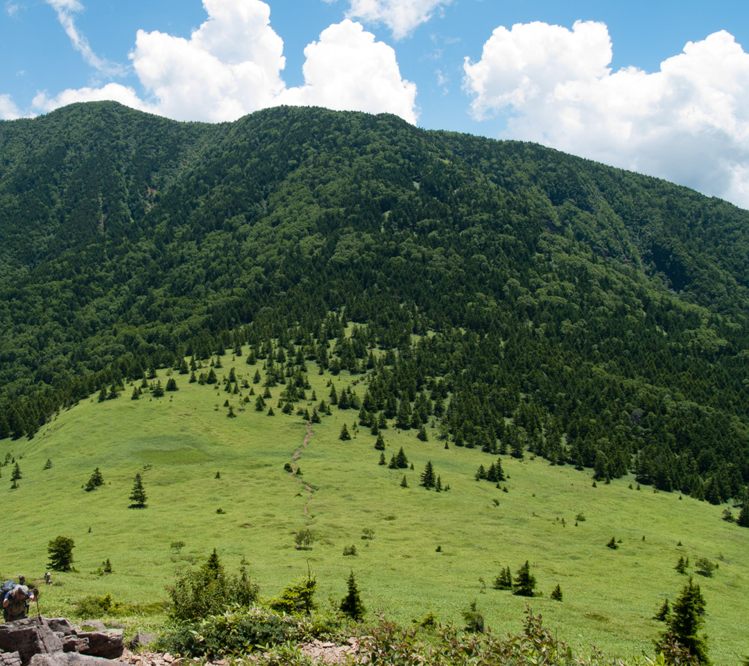 四阿山の山容　山の景色（長野県）　スマートフォン壁紙