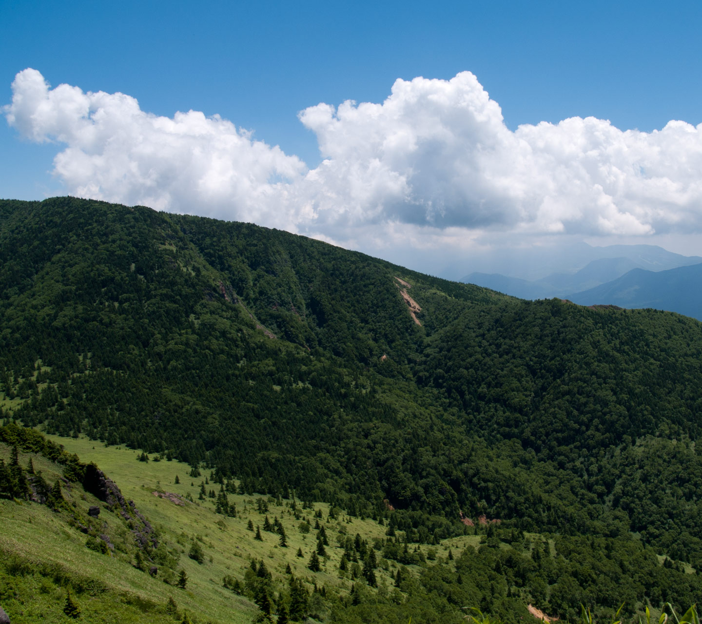 四阿山山麓の積乱雲　夏の雲　スマートフォン壁紙