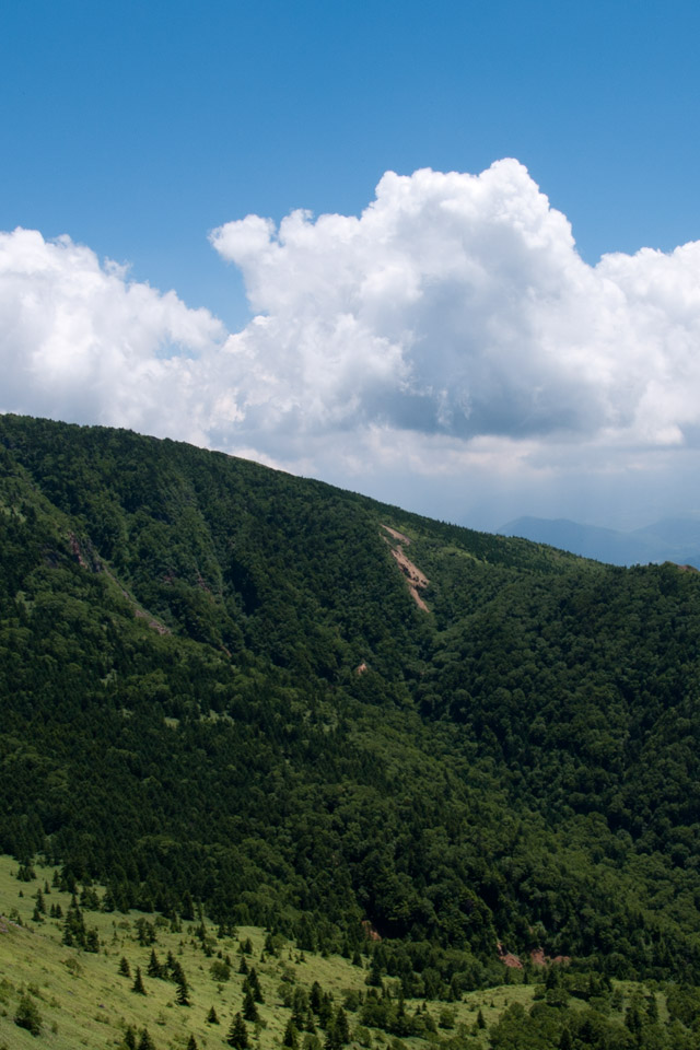 四阿山山麓の積乱雲　夏の雲　スマートフォン壁紙