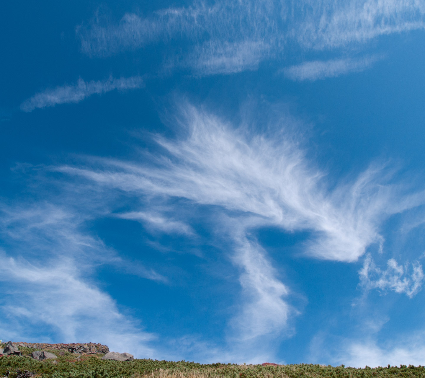 キツネかな　竜かな　ユニークな雲　スマートフォン壁紙