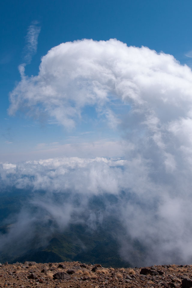 ニワトリ　ユニークな雲　スマートフォン壁紙