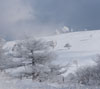 雪と霧氷の景色　雪景色（美ヶ原）のスマートフォン待受け