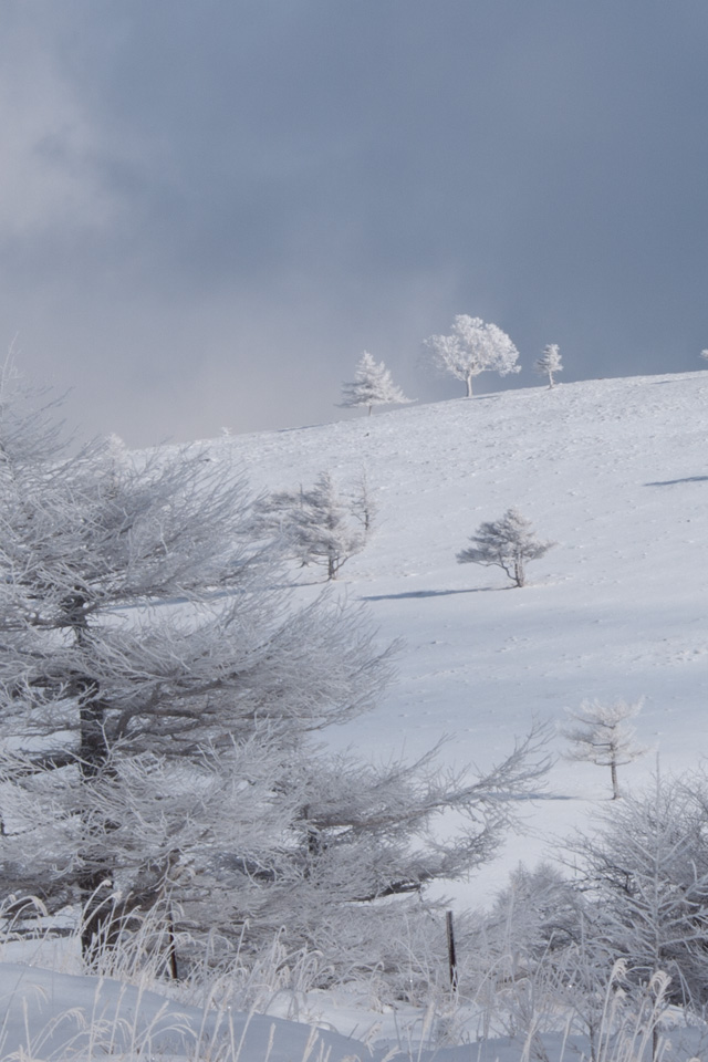 雪と霧氷の景色　雪景色（美ヶ原）　スマートフォン壁紙