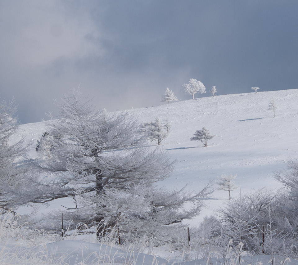 雪と霧氷の景色　雪景色（美ヶ原）　スマートフォン壁紙
