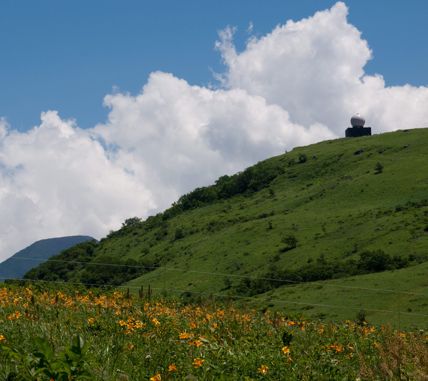 夏の雲と車山　高原　スマートフォン壁紙