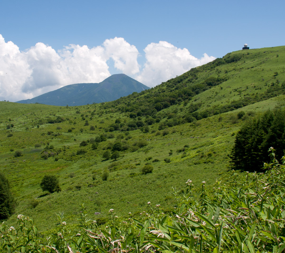 長野県　霧ヶ峰高原　夏の景色　スマートフォン壁紙