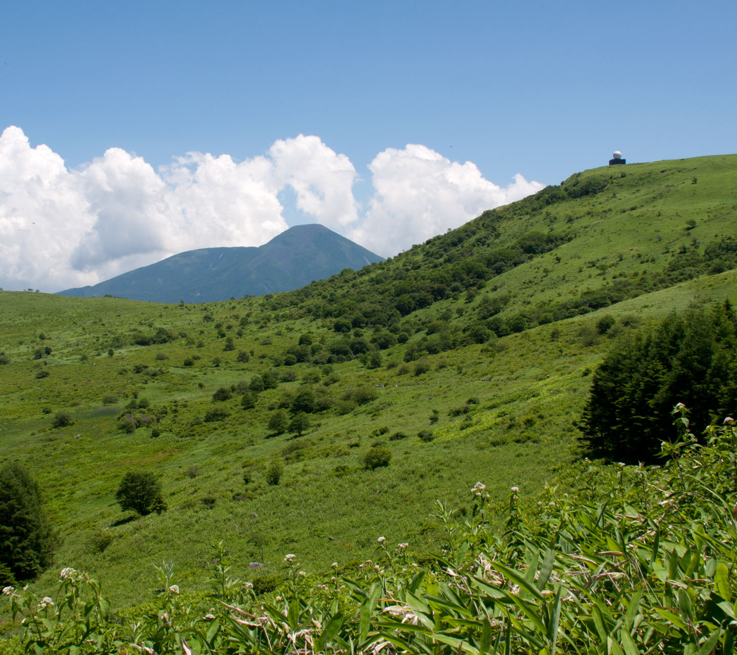 長野県　霧ヶ峰高原　夏の景色　スマートフォン壁紙