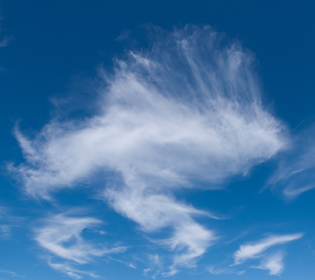 エンゼルフィッシュ　ユニークな雲　スマートフォン壁紙