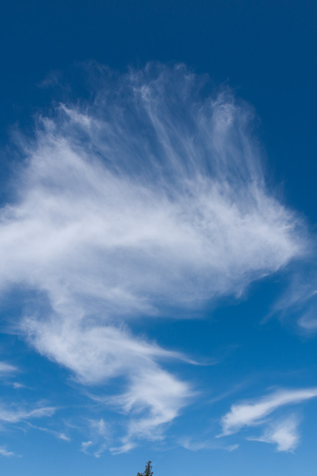 エンゼルフィッシュ　ユニークな雲　スマートフォン壁紙