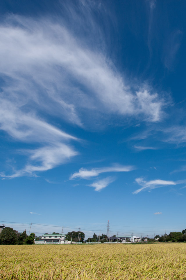 秋の空と田園風景　秋の景色　スマートフォン壁紙