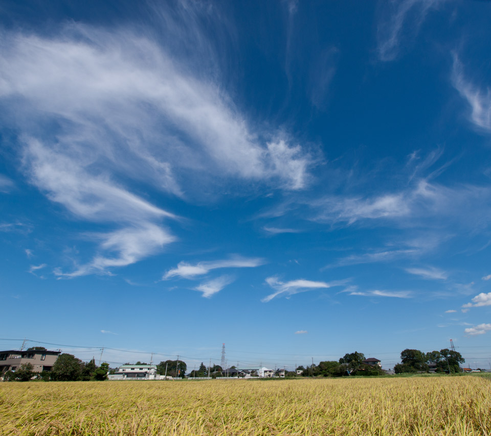 秋の空と田園風景　秋の景色　スマートフォン壁紙